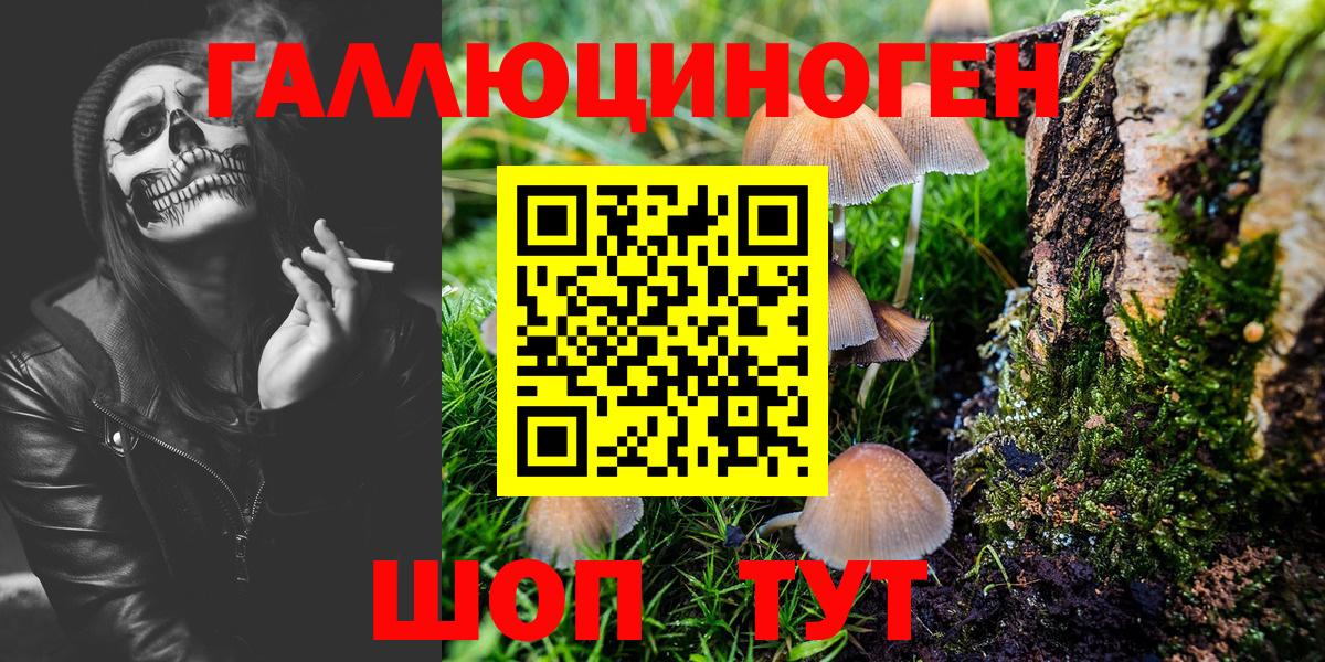 Псилоцибиновые грибы мухоморы  Галлюциногенные грибы мухоморы  Котовск  Вход с VPN 