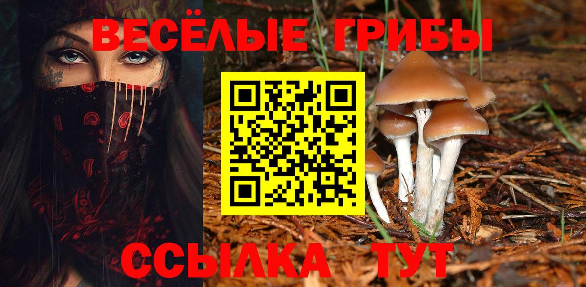 Галлюциногенные грибы MAGIC MUSHROOMS Котовск